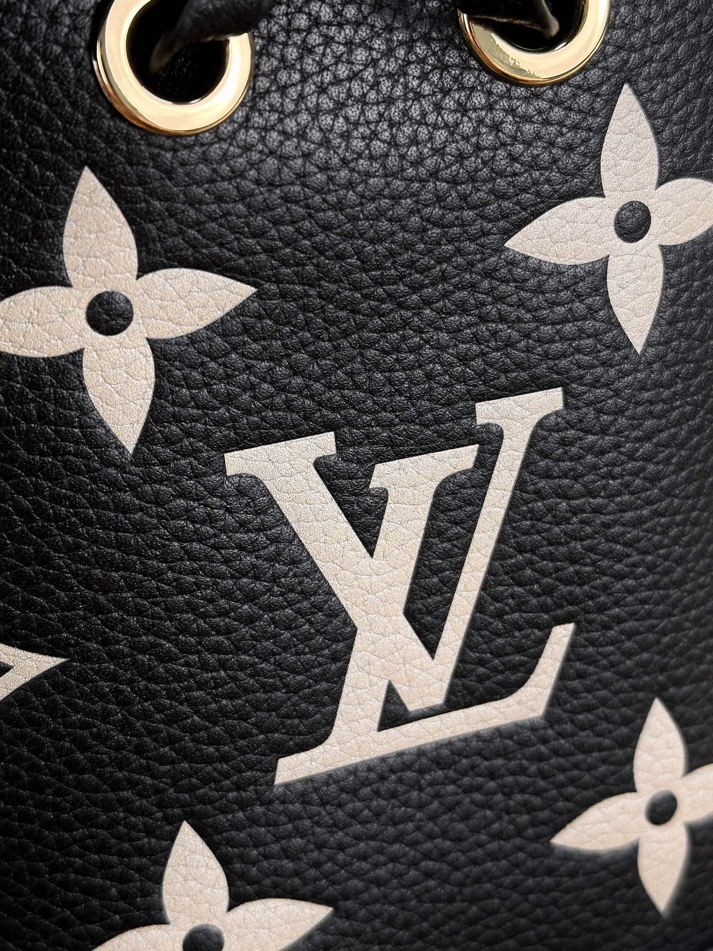 LV Bucket Bags